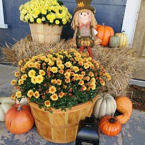 Meet your Posher, Mai